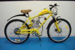 bicimotor3.jpg