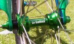 LaGallina.jpg