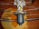 DSC07552.jpg