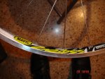 DSC07553.jpg