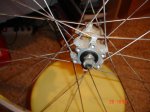 DSC07554.jpg