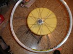 DSC07556.jpg