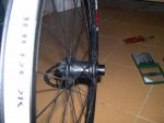 DSCN9694.jpg