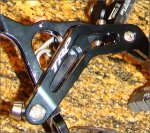 trp60arm[1].jpg