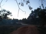 DSC07262.jpg