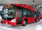 autobus_tata[1].jpg