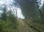 DSC00139.JPG
