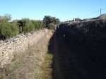m_DSC00821.JPG