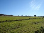 m_DSC00853.JPG