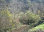m_DSC00857.JPG