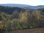 m_DSC00861.JPG