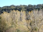 m_DSC00862.JPG