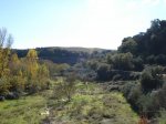 m_DSC00864.JPG