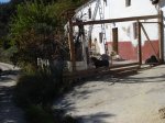 m_DSC00863.JPG