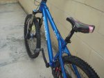 DSC08514.jpg