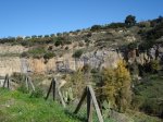 m_DSC00870.JPG