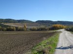 m_DSC00872.JPG