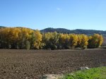 m_DSC00874.JPG