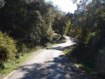 m_DSC00875.JPG