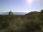 DSC00002.jpg