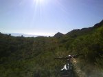DSC00005.jpg