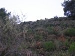 che q plou 011.jpg
