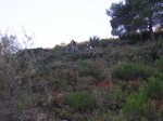 che q plou 020.jpg
