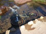 che q plou 039.jpg