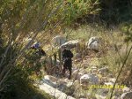 Imagen 021.jpg