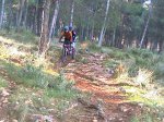 IMAG0269.jpg