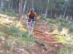 IMAG0272.jpg