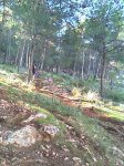 IMAG0255.jpg
