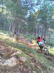 IMAG0259.jpg