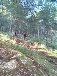 IMAG0261.jpg