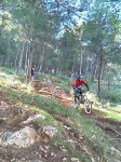 IMAG0262.jpg