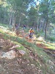 IMAG0265.jpg