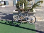 fotos bici 008.jpg