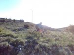 fotos bici 005.jpg
