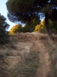 000_1319.jpg