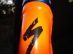 DSC01406.jpg