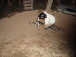 DSC01452.jpg