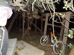DSC01487.jpg