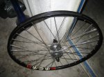 bici 23-11-08 009.jpg