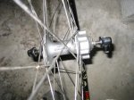 bici 23-11-08 011.jpg