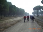 CIMG6832.jpg