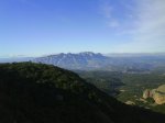 DSC00403.jpg