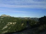 DSC00405.jpg