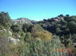 CIMG6795.jpg