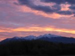IMG_8125.JPG