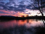 IMG_8134.JPG
